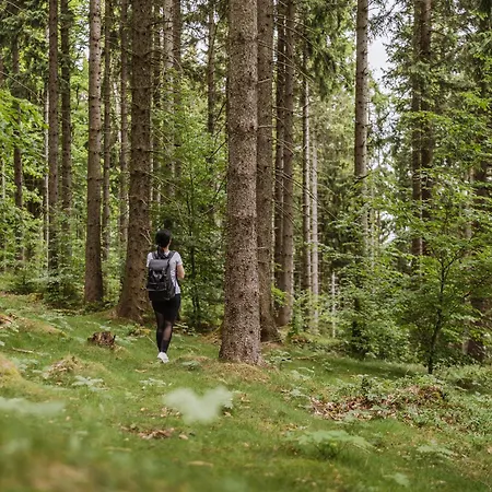 Zloty Horyzont Lux Glowny Budynek Z Basenem, Silownia, Grota Solna, Bawialnia I Restauracja Horyzont Smakow * 스클라르스카포렘바