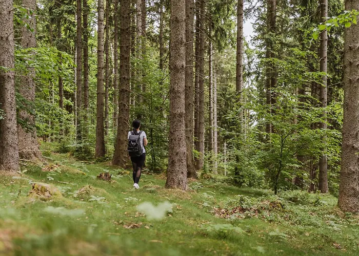 Zloty Horyzont Lux Glowny Budynek Z Basenem, Silownia, Grota Solna, Bawialnia I Restauracja Horyzont Smakow * Szklarska Poręba
